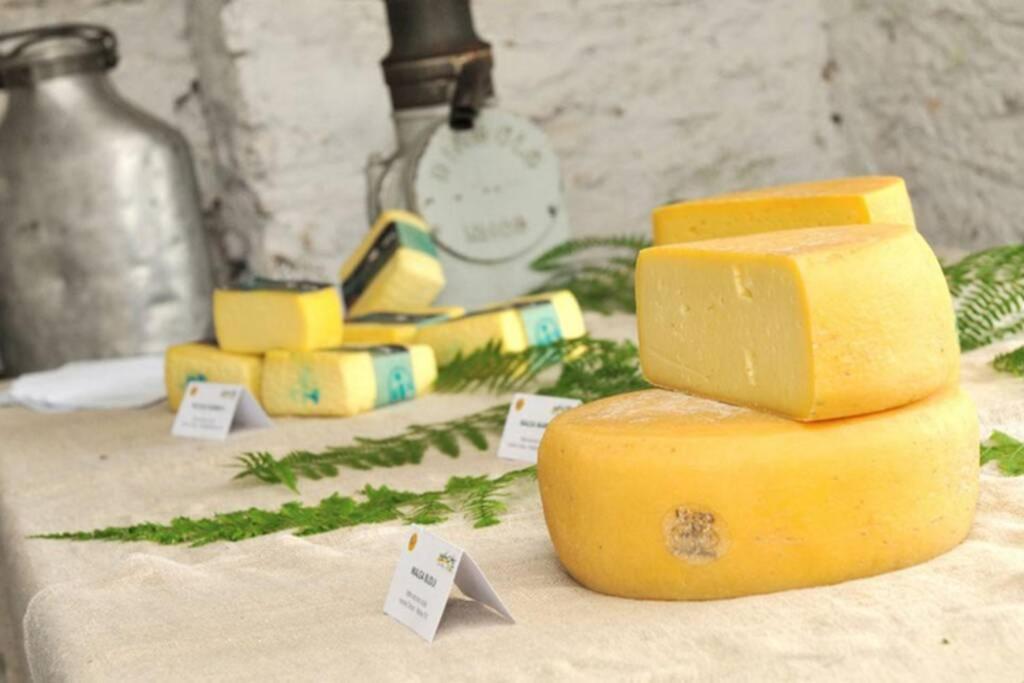 I 4 Elementi Daire Crespano del Grappa Dış mekan fotoğraf